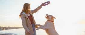 birthday dog gifts