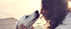 love your pet day gifts