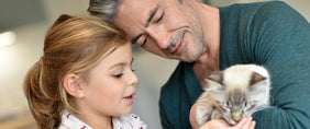 valentines gifts for pets