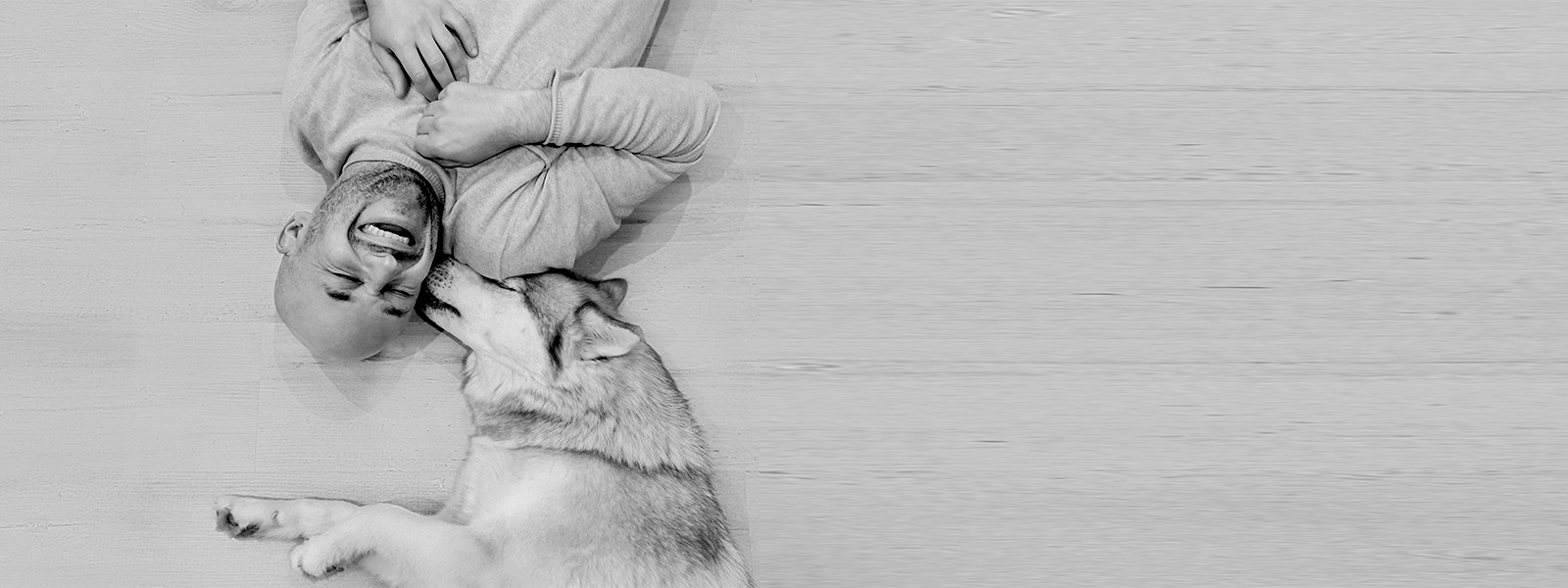 gifts for dogs and cats