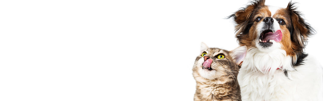 Gifts For Dogs, Cats & Their Humans - Pet Gift Baskets USA
