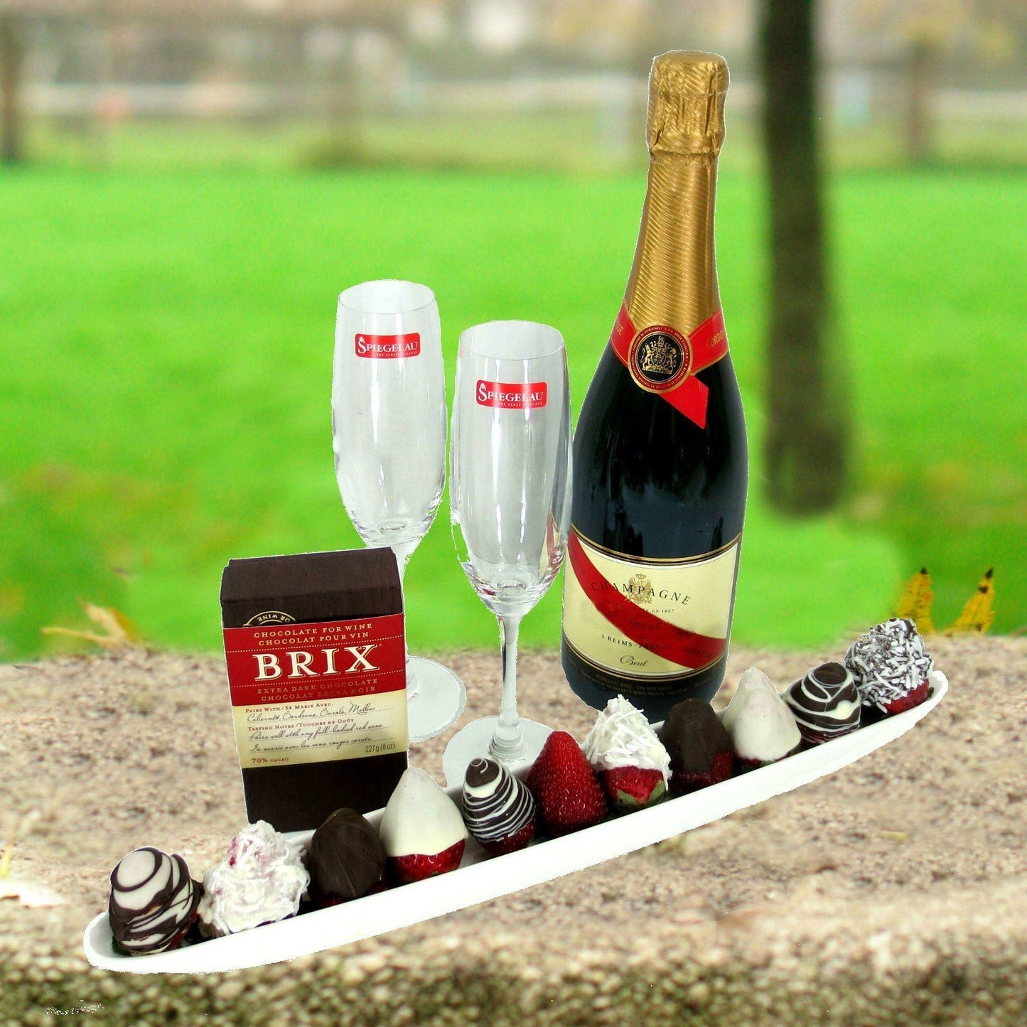 Champagne & Chocolate Dipped Strawberries Boat