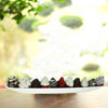 chocolate dipped strawberries in a ceramic boat