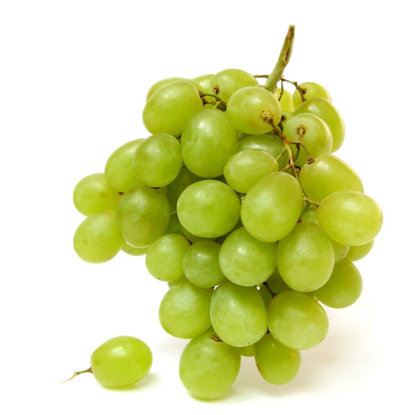 The Green Serving Tray