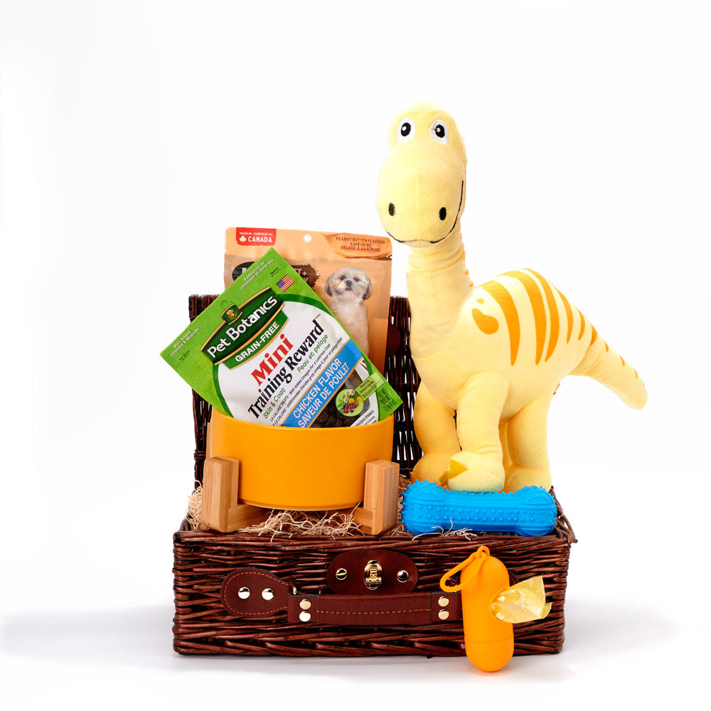 A Dog Day Afternoon Gift Basket, dog gift baskets, gourmet dog gifts, gifts, dog treats, dog toys, chew toys