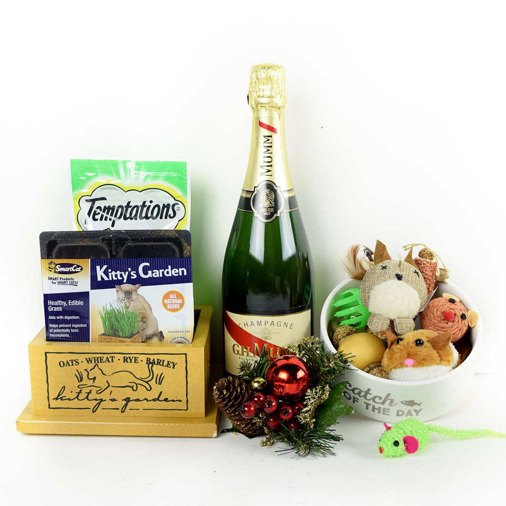 Kitty’s Garden & Treats Gift Set