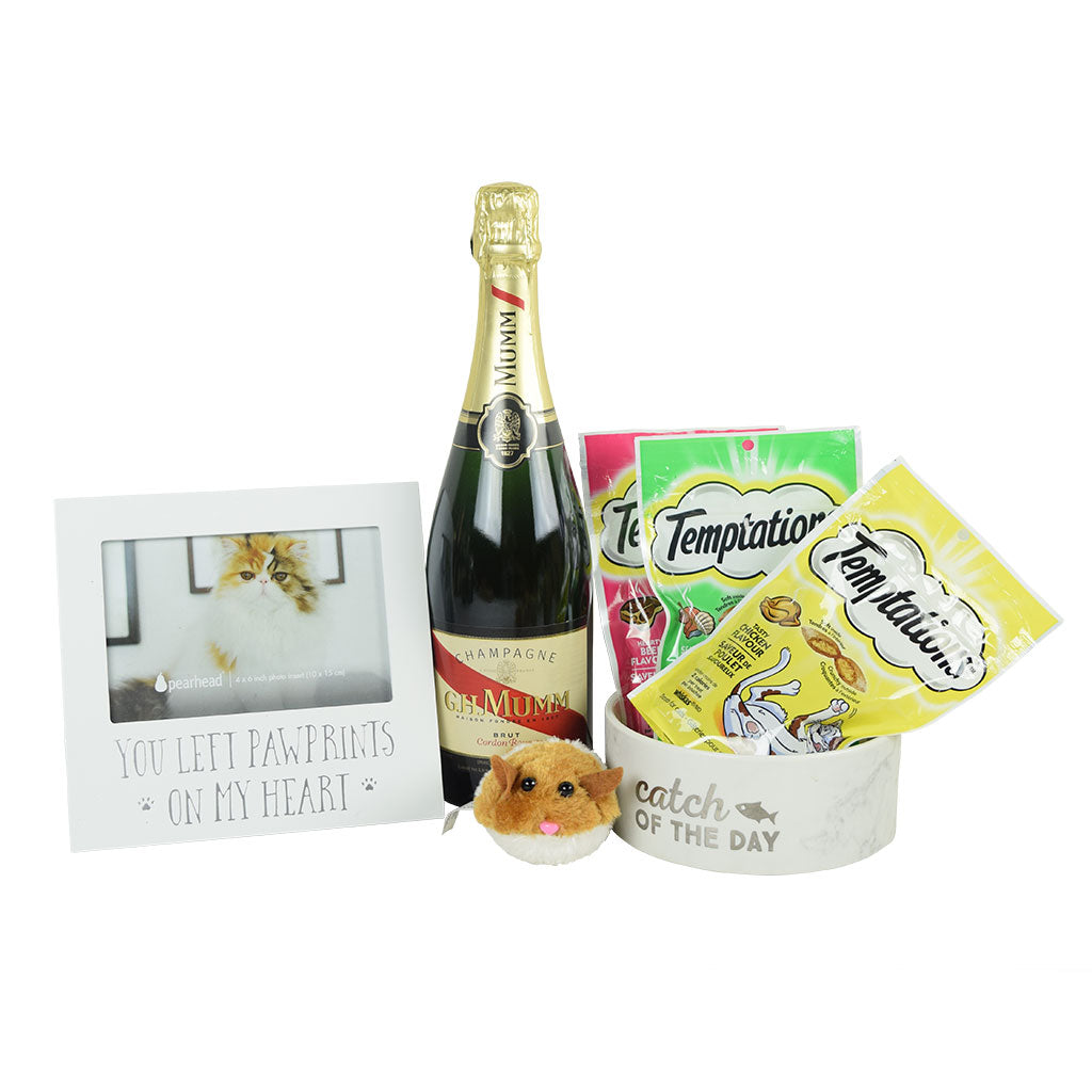 You Left Pawprints On My Heart Cat Gift Set