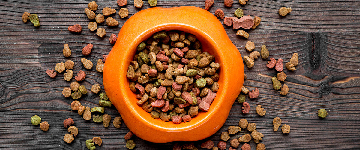 cat treats cat gifts