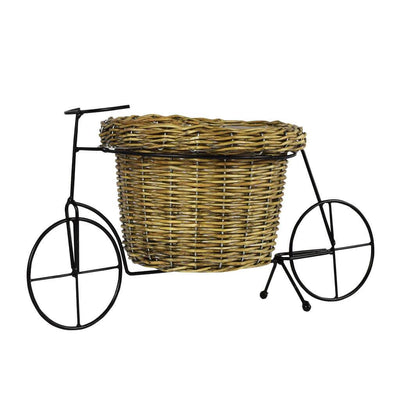 Champagne Gift Baskets - Fruit Bicycle Cart - Mutts & Mousers USA