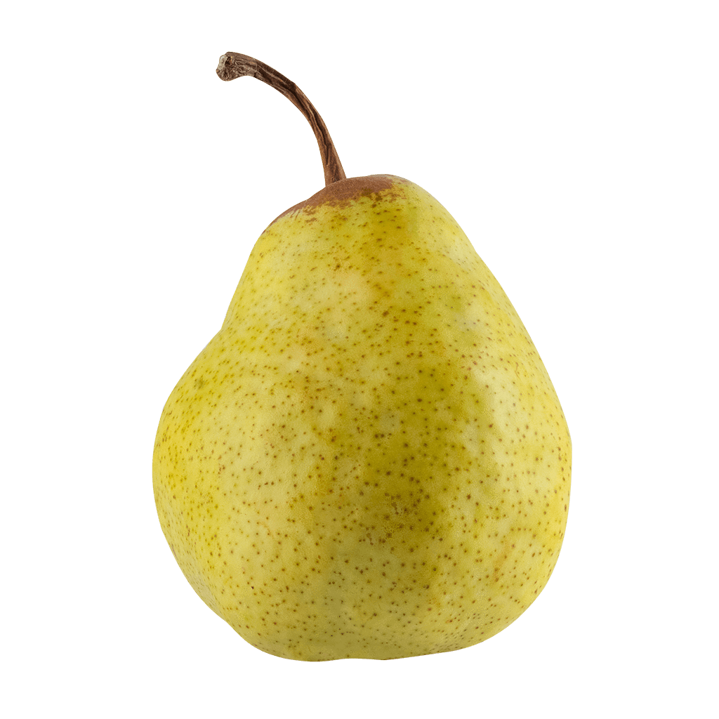 Anjou Pear