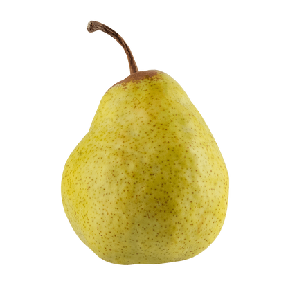 Anjou Pear