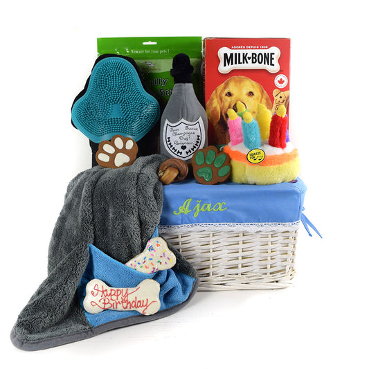 Fun In The Sun Dog Gift Basket
