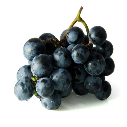 Festive Passover Fruit Basket