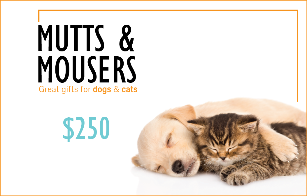 $250 Gift Card