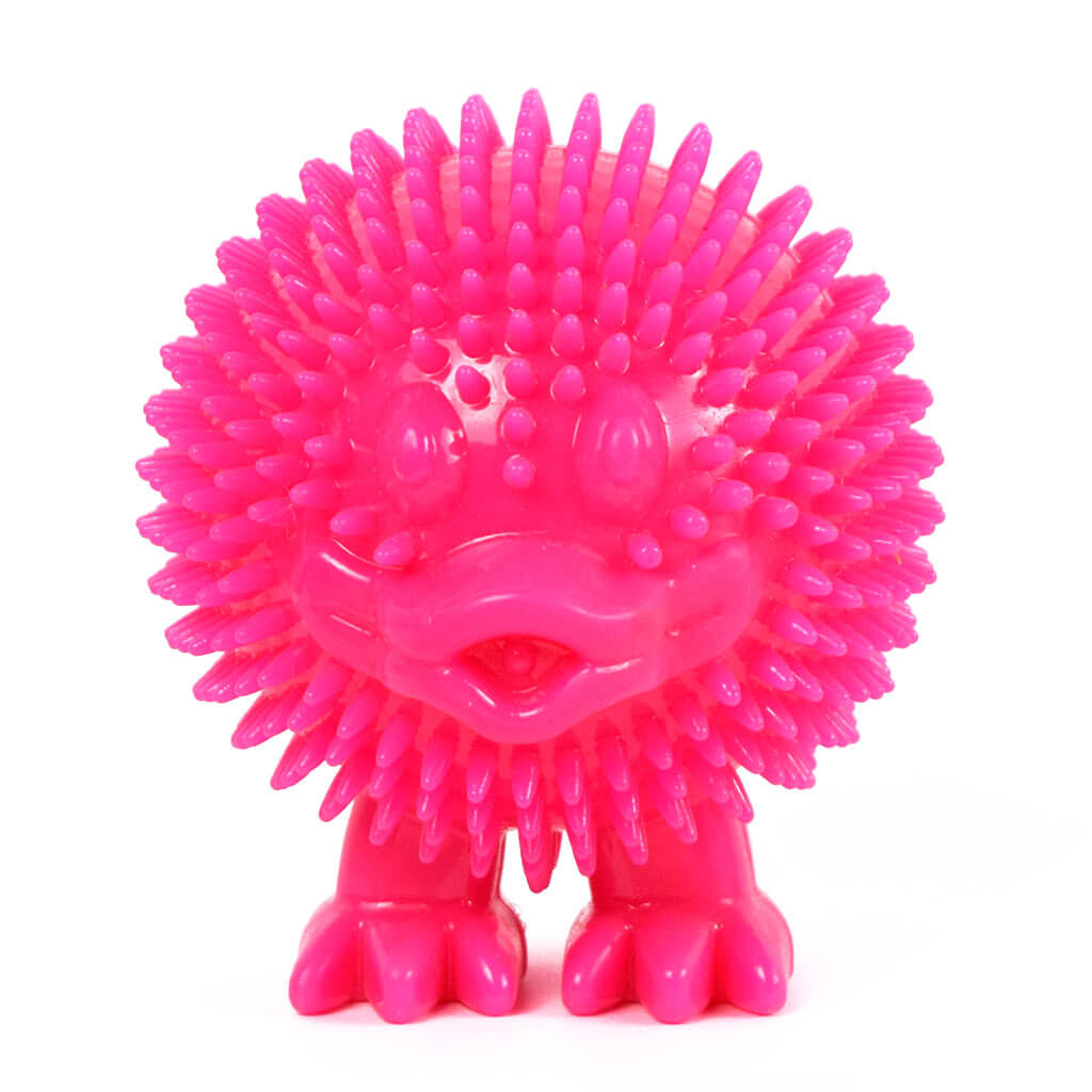 Toy