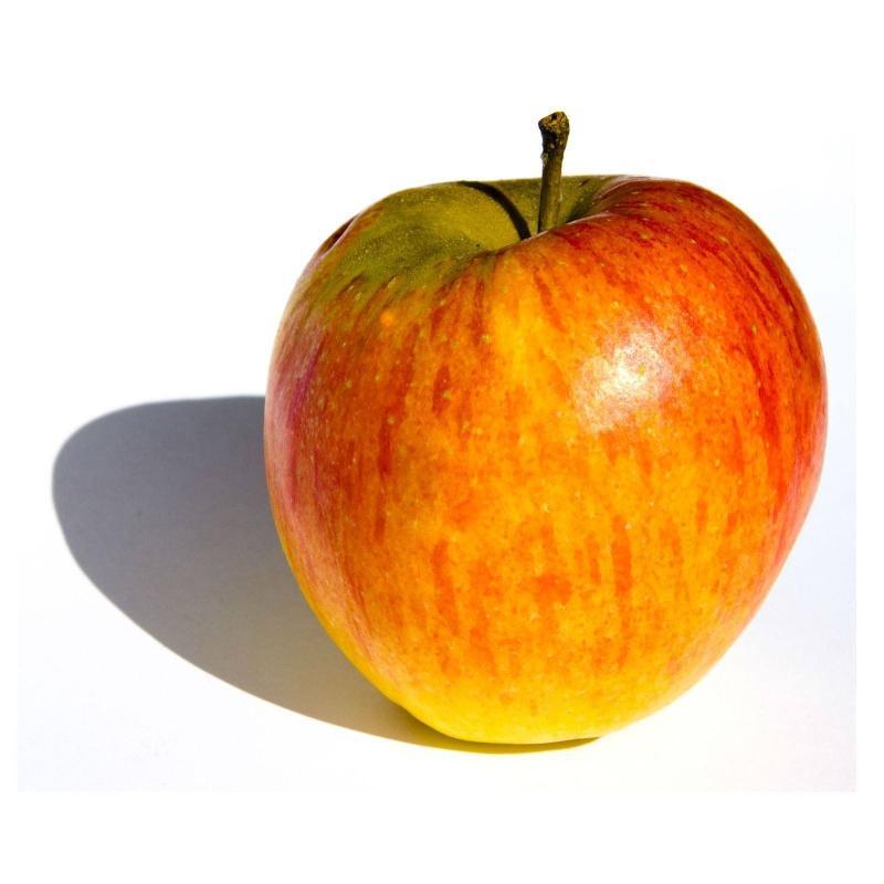 The Abundant Harvest Fruit Basket
