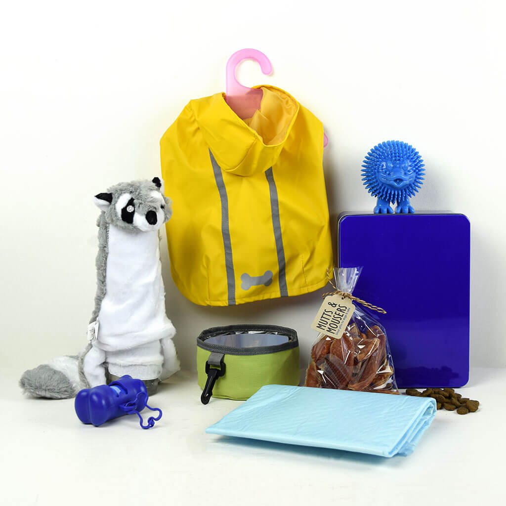 Raining Dogs Gift For Him