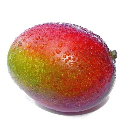 The Abundant Harvest Fruit Basket
